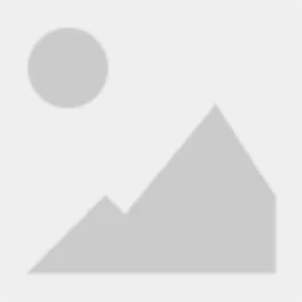 涤纶不收缩纺织套管(NSSP)